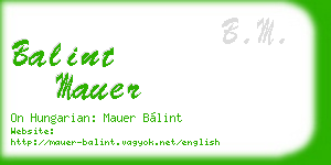 balint mauer business card